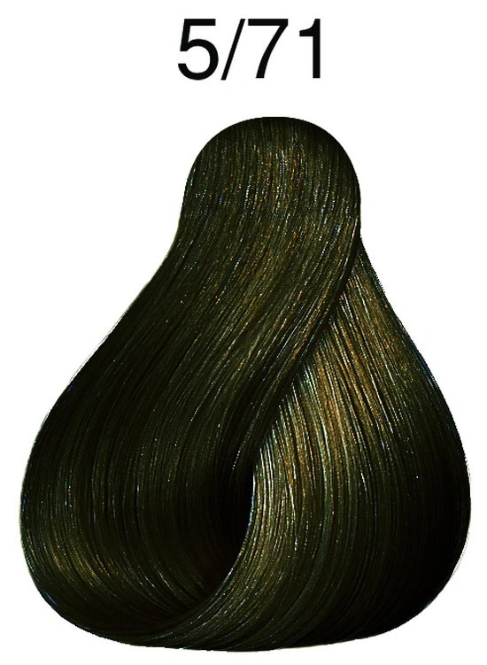 Fő kép